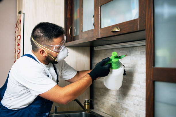 Best Pest Prevention Services  in Orange Grove, TX