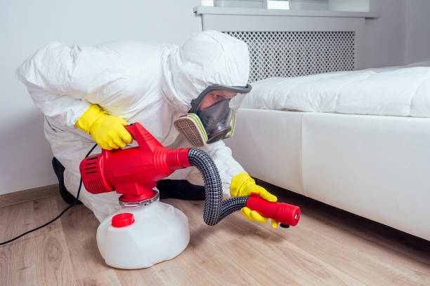 Best Pest Inspection Near Me  in Orange Grove, TX