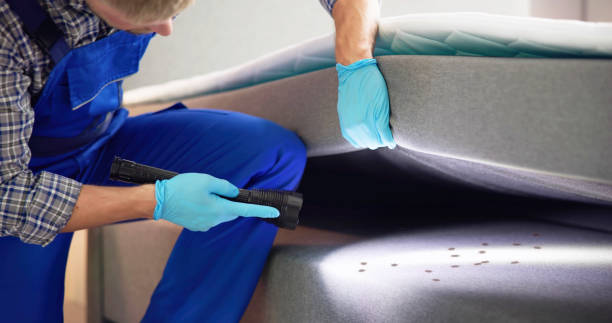 Best Mosquito Control Services  in Orange Grove, TX
