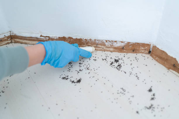 Pest Prevention Services in Orange Grove, TX